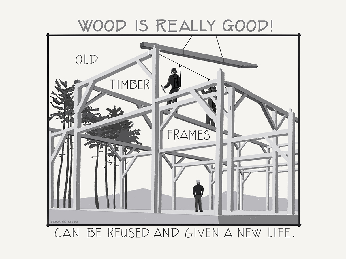 Carolina Timberworks - sustainability comic 5