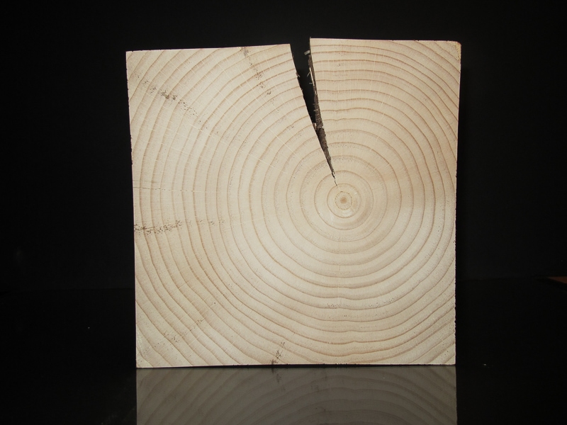 white pine timber with split or woodchecking white pine timber with split or woodchecking