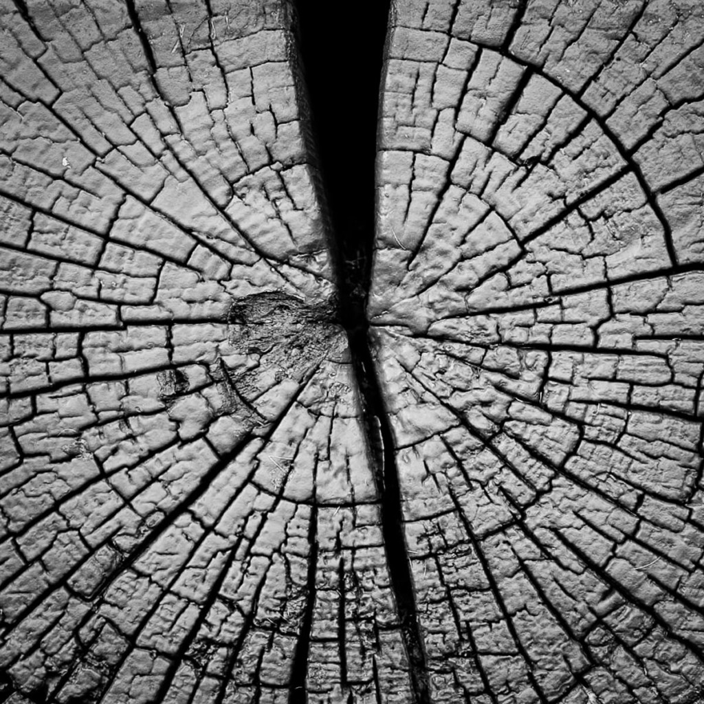 How long does it take to build a barn