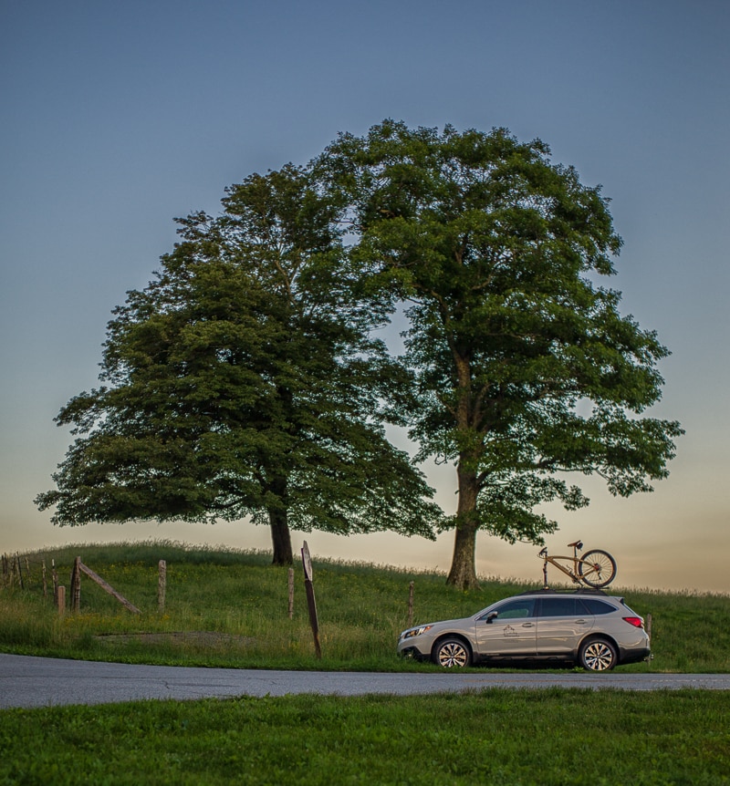 Two of the Prettiest Oak Trees on the Blue Ridge Parkway...and the Carolina Timberworks Badash 29er Carbon fiber wood in a Renovo wooden bicycle on the Blue Ridge Parkway